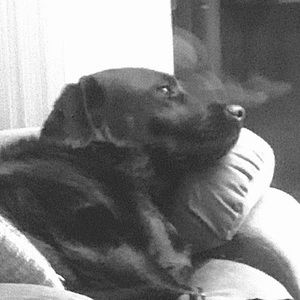 Meet your Posher, Patrick